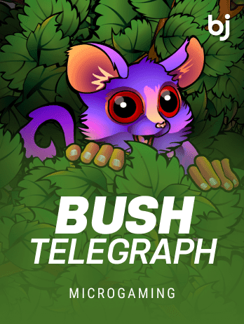 Bush Telegraphpng icon
